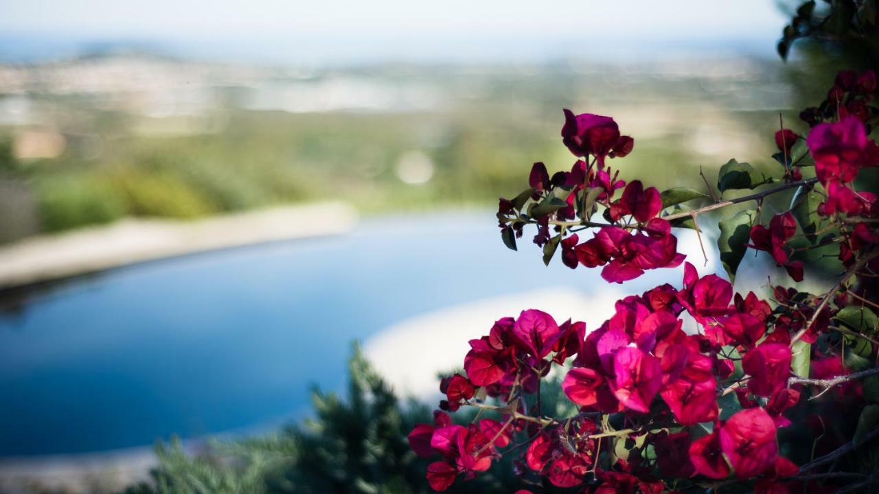Bed and Breakfast Le Tre Civette - Residenza Di Campagna Villa San Pietro Екстер'єр фото